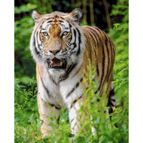 MyHobby Borduurpakket – Tijger 40×50 cm - Aida stof 5,5 kruisjes/cm (14 count)