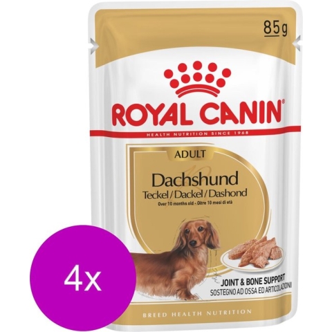 Royal Canin Bhn Dachshund Adult Pouch - Hondenvoer - 4 x 12x85 g