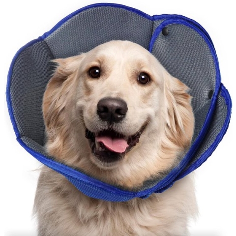 Halsband voor honden, beschermende halsband voor katten, ademende halsband voor kleine, middelgrote en grote honden, verstelbare halsband voor hondenherstel na een operatie, licht