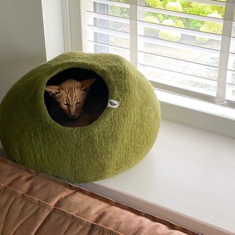 Cat cave kattenmand Mossig Groen - SnoozyCave