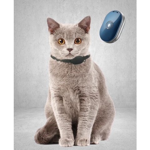 Reptrek® Minitrek GPS Tracker Voor Hond En Kat - Blauw - 4.9 x 3.3 x 1.5 cm