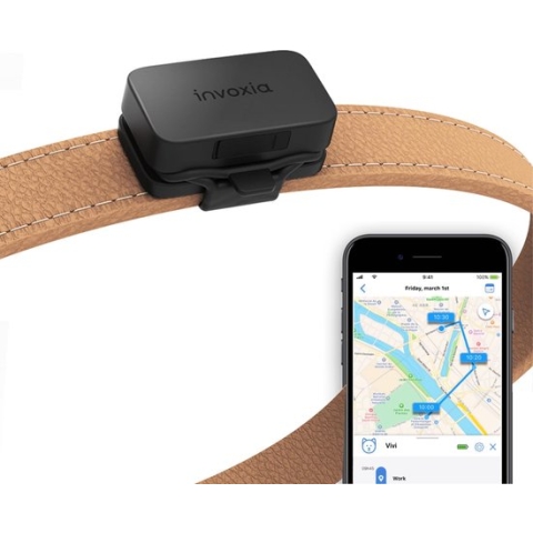 Invoxia - Huisdier GPS/Activity Tracker - Zonder Simkaart - Tot 1 Maand Batterijduur - Hond - Kat - Poes - Track & Trace Volgsysteem