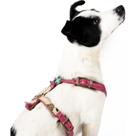 DWAM Lou Lou Harnas / Hondentuigje - Leder - Bordeauxrood - XXS - Borstomtrek: 36 - 42 cm (GELIEVE ALVORENS BESTELLEN OPMETEN)