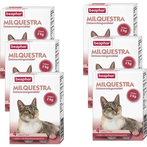 Beaphar Milquestra Kat - Anti wormenmiddel - 6 x 4 tab 2 Tot 12 Kg