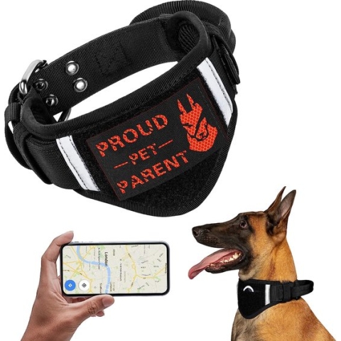 Verstelbare halsband, lichte hondenhalsband voor honden, verstelbare verpakking (M, zwart)