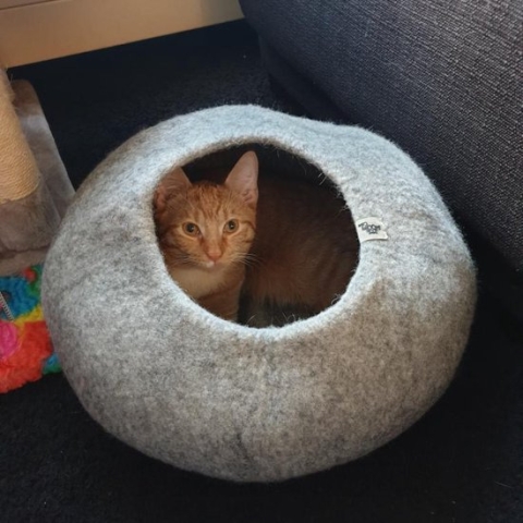 Cat cave kattenmand lichtgrijs - SnoozyCave