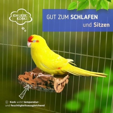 2 x Piksteen van Kurk - Het Smakelijke Alternatief voor de Kalksteen voor Vogels of Sepiaschelp, Parkieten Speelgoed