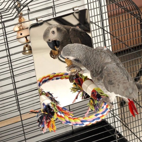 23 cm roestvrijstalen vogelspiegel met touwperk, vogelspeelgoed (L)