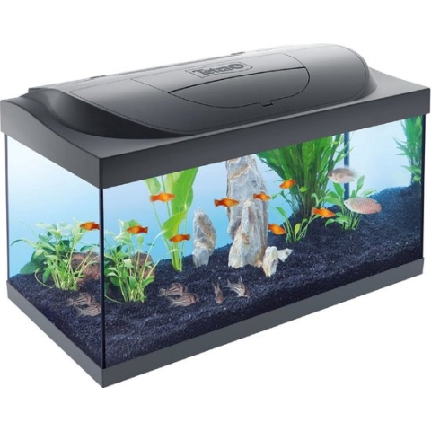 Starter Line aquarium zwart led 54 Liter met filter en verwarming