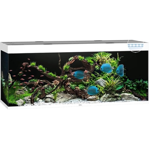 Juwel Rio 450 LED Aquarium - Wit - 450L - 151 x 51 x 66 cm