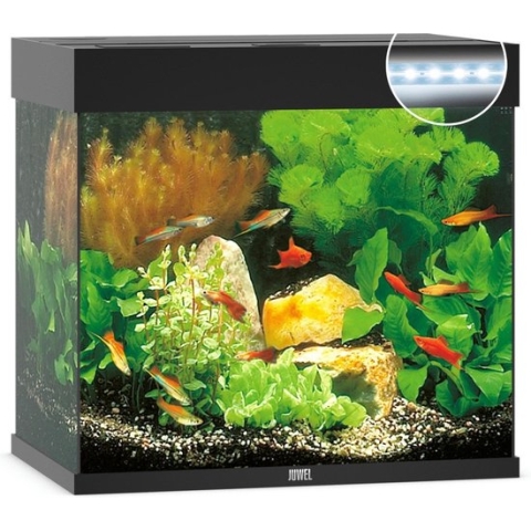 Juwel Aquarium Lido 120 Led - Zwart - 61 x 41 x 58 cm - Ca. 120 L