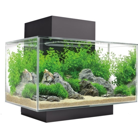 Fluval Edge I 2.0 aquarium Zwart