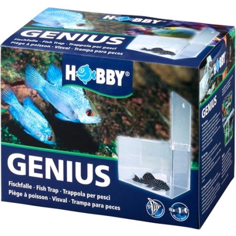 Hobby Genius Visval 21x13x15 Cm
