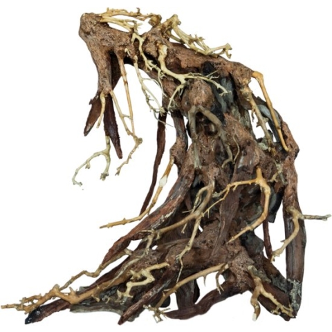 Bonsai root large | Hout decoratie aquarium