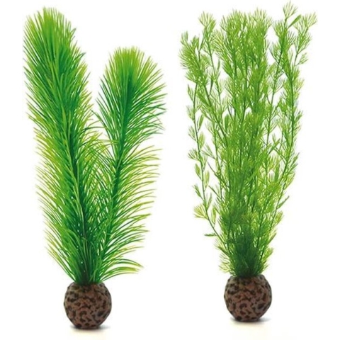 biOrb mannetjesvaren set groen - klein