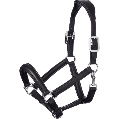 Lemieux Halster Anatomic Zwart - paard