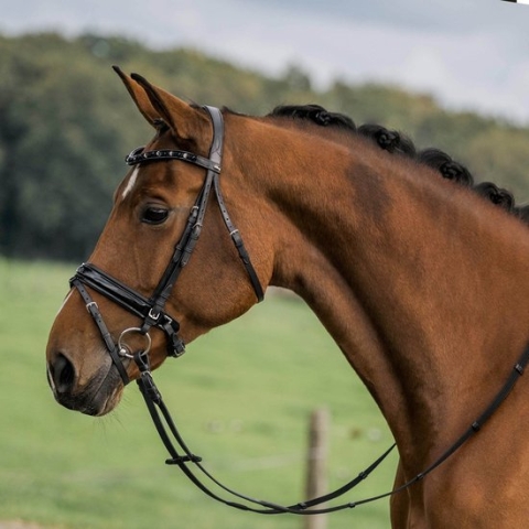 HORKA Hoofdstel Flamingo PONY Zwart