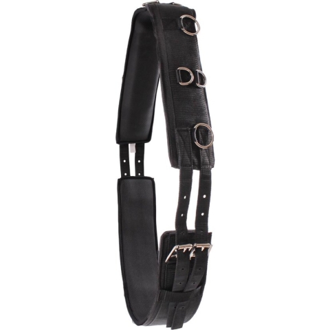 Epplejeck Neopreen Longeersingel - Zwart - mt - Paard