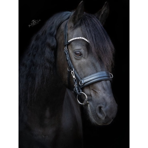OnHorses Cavesson anatomic Ultra Bridle Full (Kaptoom Hoofdstel)