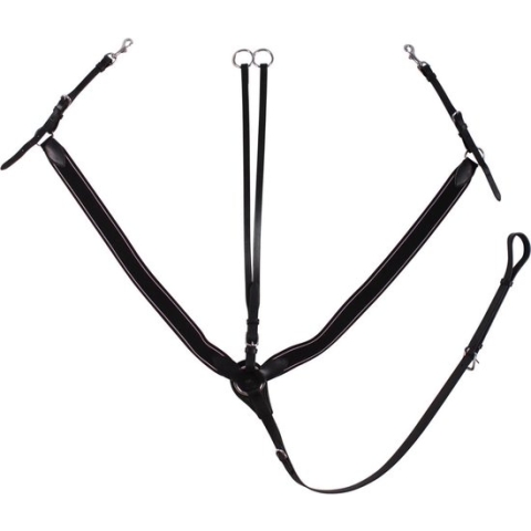 Epplejeck Brighton - Borsttuig - Zwart/Zilver - mt. Middel