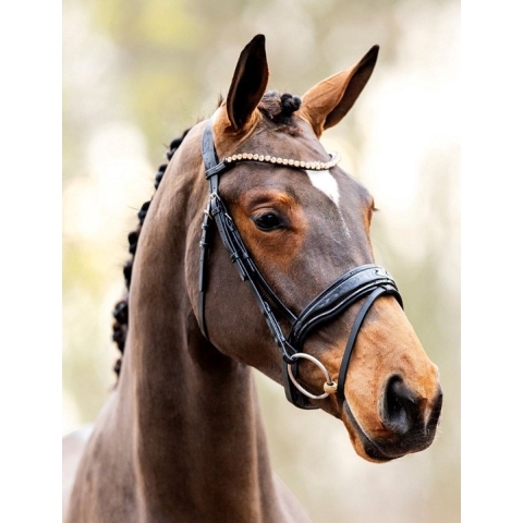 HB Hoofdstel Showtime Rose Gold - maat Cob - black