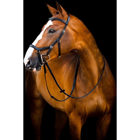 Horseware Micklem 2 Deluxe Competition hoofdstel - maat Full - black