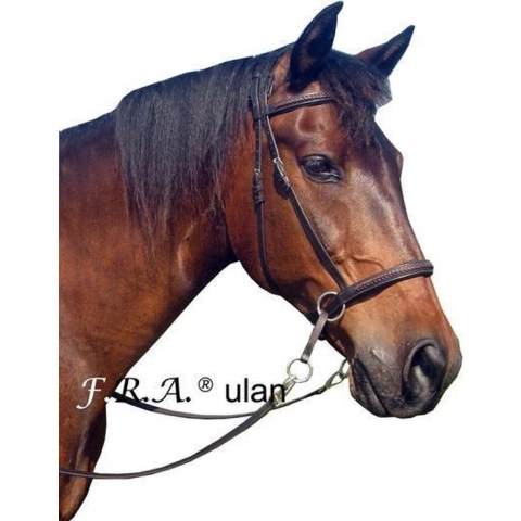 F.R.A. ulan / bitl. hfdst. (syst.5) zwart leder, geweven front- en neusriem, lederen clipteugel, paard