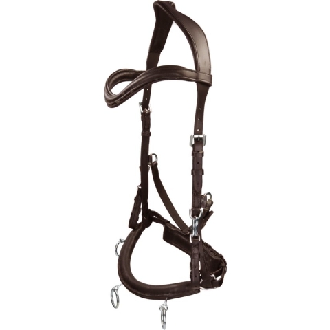 Free Horse Kaptoom Leer Bruin - pony