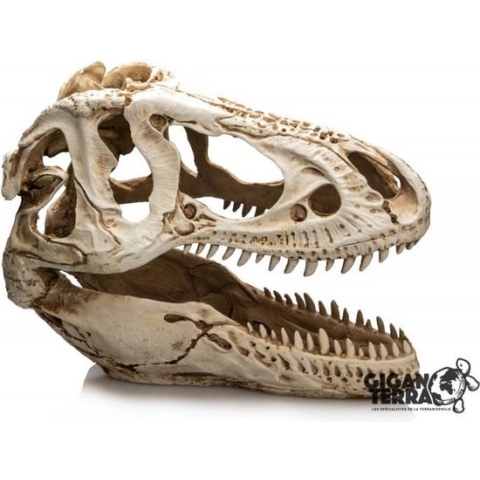 Giganterra T-Rex XXL