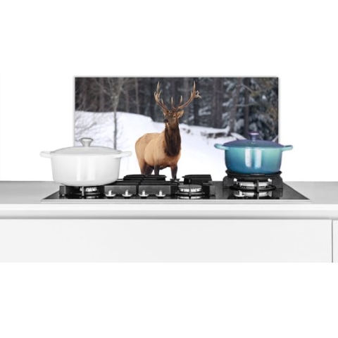 Spatscherm Keuken - Kookplaat Achterwand - Spatwand Fornuis - 70x30 cm - Hert - Sneeuw - Winter - Aluminium - Wanddecoratie - Muurbeschermer - Hittebestendig