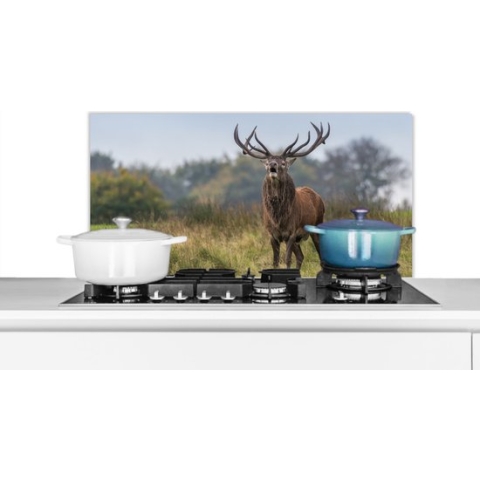 Spatscherm Keuken - Kookplaat Achterwand - Spatwand Fornuis - 80x40 cm - Hert - Gewei - Gras - Aluminium - Wanddecoratie - Muurbeschermer - Hittebestendig