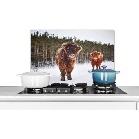 Spatscherm Keuken - Kookplaat Achterwand - Spatwand Fornuis - 60x40 cm - Schotse hooglander - Sneeuw - Koeien - Aluminium - Wanddecoratie - Muurbeschermer - Hittebestendig