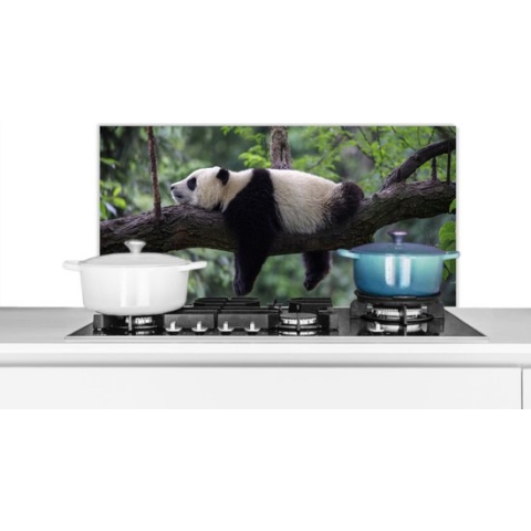 Spatscherm - Achterwand keuken - Panda - Wilde dieren - Boom - Natuur - Keuken decoratie - Muurbeschermer - Keuken - Spatscherm panda - 80x40 cm - Spatwand