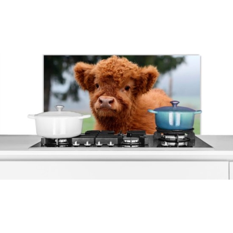 Spatscherm Keuken - Kookplaat Achterwand - Spatwand Fornuis - 80x40 cm - Schotse Hooglander - Kalf - Gras - Aluminium - Wanddecoratie - Muurbeschermer - Hittebestendig