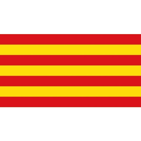Vlag Catalonie 150x225cm