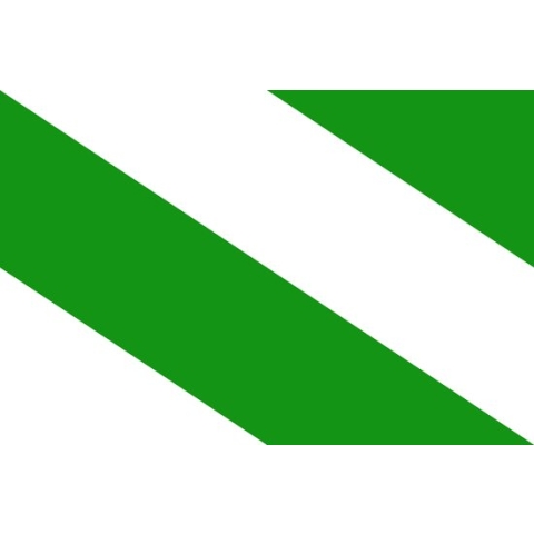 Vlag Evere 150x225cm