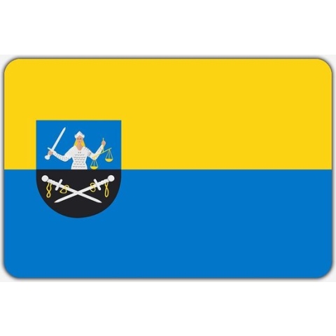 Vlag Dinxperlo - 200 x 300 cm - Polyester