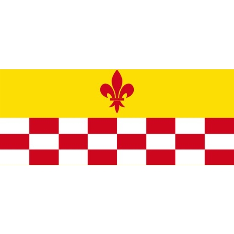 Vlag Rixensart 150x225cm