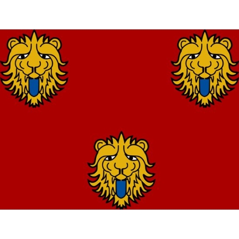 Vlag Staden 150x225cm