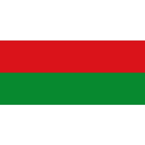 Vlag Bilzen 200x300cm
