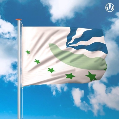 Vlag Drimmelen 150x225cm