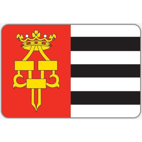 Vlag Drachten - 150 x 225 cm - Polyester