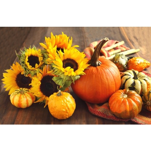 100% Nederlandse Productie! │ Diamond Painting │ Stilleven Herfst Bloemen & Pompoenen │ Formaat 120 x 80 cm │ Diamond Painting Pakket Volwassenen │ Volledige bedekking │ Vierkant │ Full │ Flitzz Diamond Painting