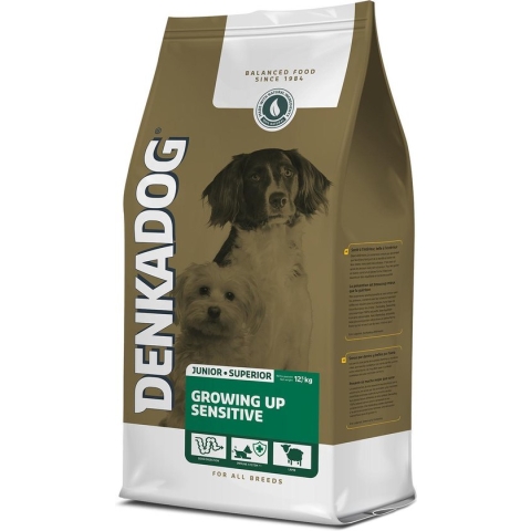 Denkadog Superior Growing Up
