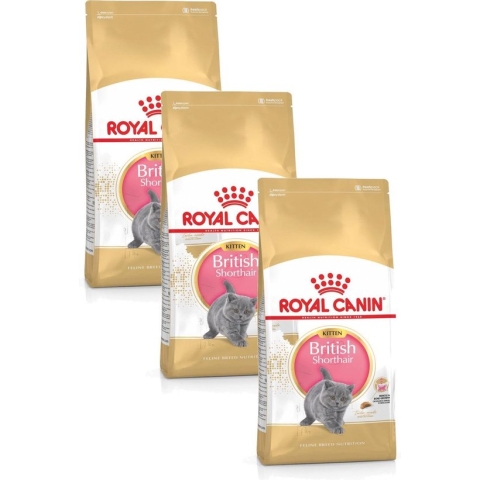 Royal Canin British Shorthair Kitten - Kattenvoer - 3 x 2 kg