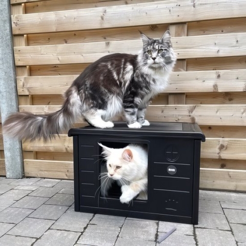 RHRQuality Kattenhuis voor binnen en buiten kattenhok Villa de Luxe Zwart