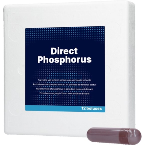Direct Fosfor Bolus