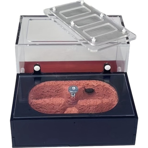 Livano Mierenboerderij - Mierenhotel - Mierenkolonie - Antfarm - Mieren Aquarium - Mierenhuis - Voor Mieren - Broedbox - Rood