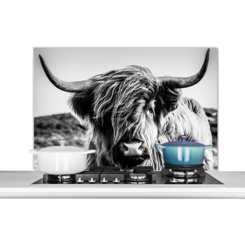 Spatscherm Keuken - Kookplaat Achterwand - Spatwand Fornuis - 100x65 cm - Koe - Schotse hooglander - Zwart - Wit - Dier - Natuur - Wild - Aluminium - Wanddecoratie - Muurbeschermer - Hittebestendig