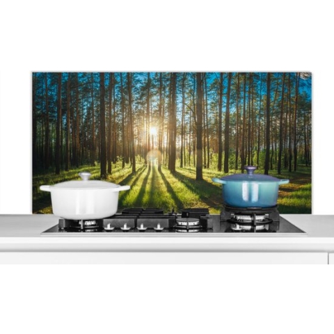 Spatscherm keuken - Keuken achterwand - Zon - Gras - Natuur - Muurbeschermer - 120x60 cm - Keuken - Keuken decoratie - Spatwand kookplaat
